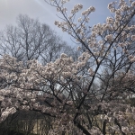 1617340890328 (1).jpg